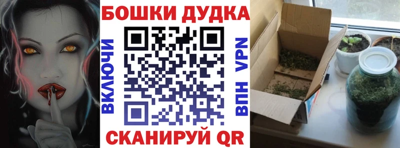 Шишки марихуана сатива  mega онион  Зеленоградск 